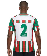 Jogo-de-Camisa-Placar-12-pcs-Silverstone-vrdvrmbco_costas
