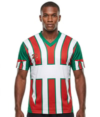 Jogo-de-Camisa-Placar-12-pcs-Silverstone-vrdvrmbco_frente